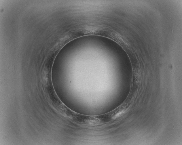 X0000072980215200608041251