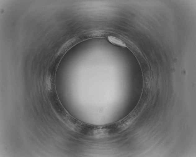 X0000072980216200608041251