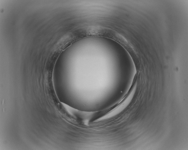 X0000072980217200608041251