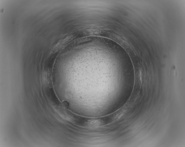 X0000072980218200608041251