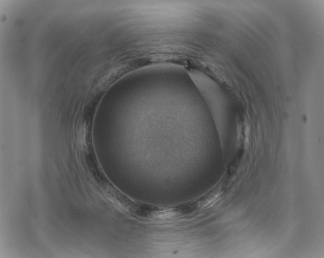 X0000072980219200608041251