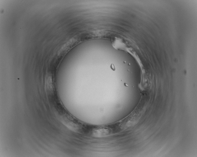 X0000072980220200608041251