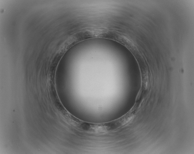 X0000072980221200608041251