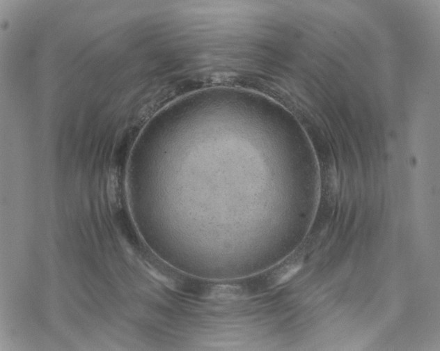 X0000072980222200608041251