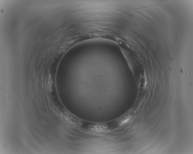 X0000072980223200608041251