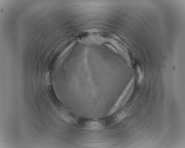 X0000072980224200608041251