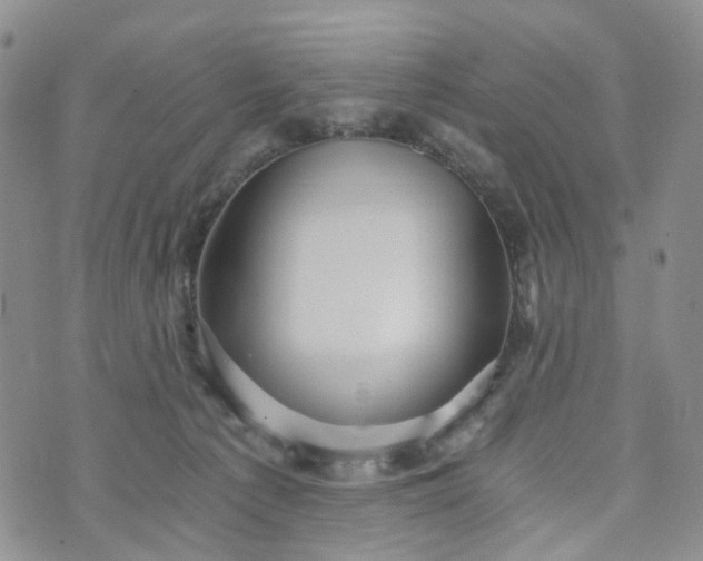 X0000072980225200608041251