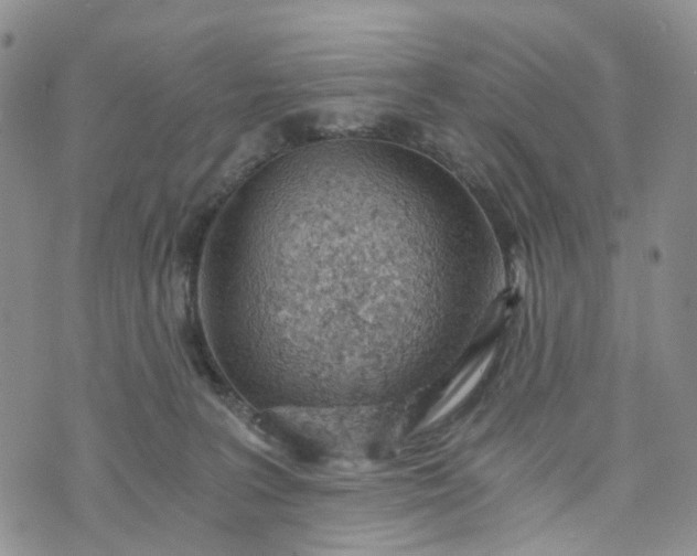 X0000072980227200608041251