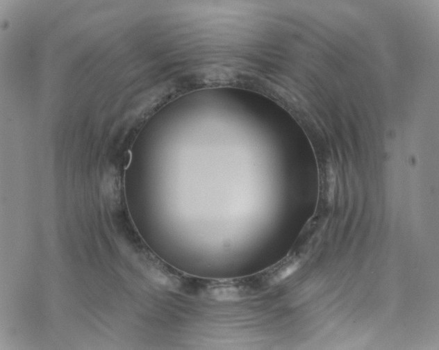 X0000072980228200608041251