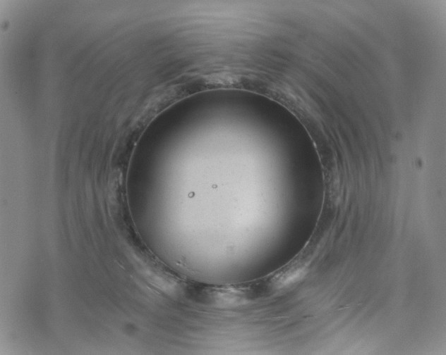 X0000072980229200608041251