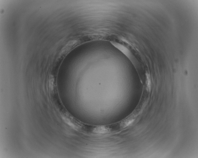 X0000072980231200608041251