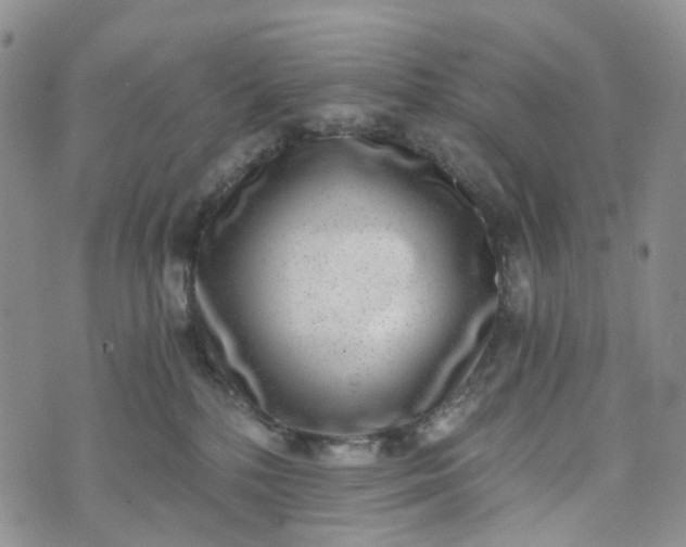 X0000072980232200608041251