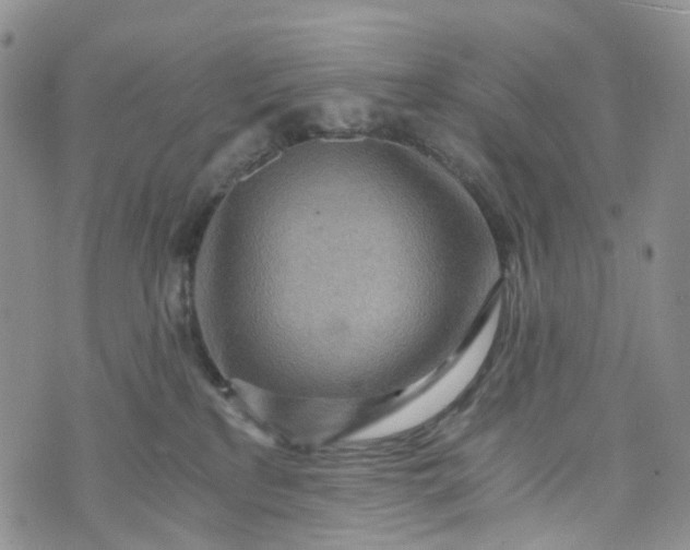 X0000072980233200608041251