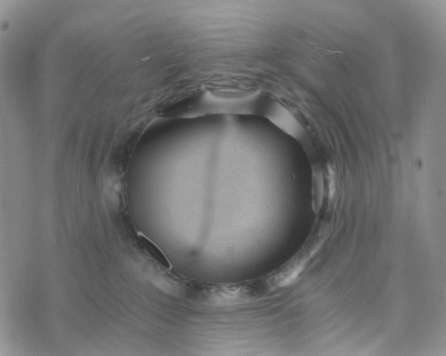 X0000072980235200608041251