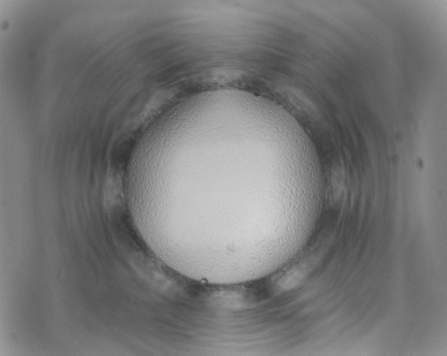 X0000072980236200608041251