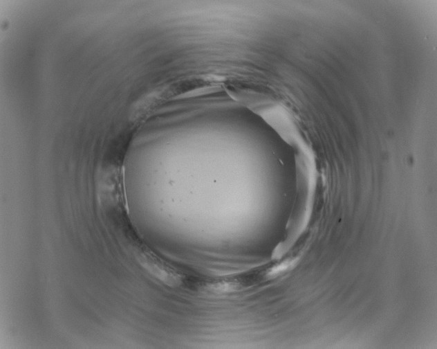 X0000072980237200608041251