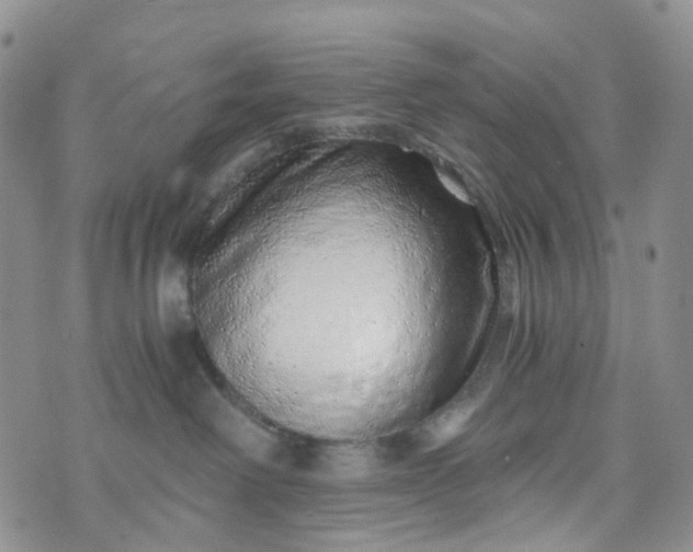 X0000072980238200608041251