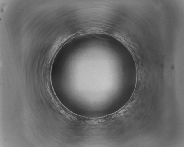 X0000072980241200608041250