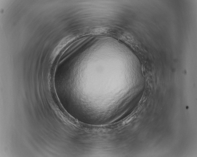 X0000072980242200608041250