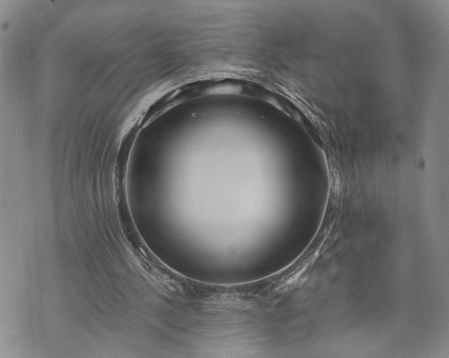 X0000072980244200608041250