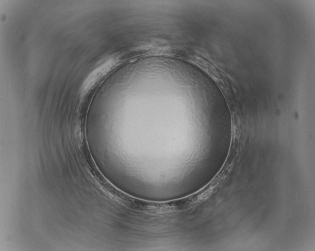 X0000072980245200608041250