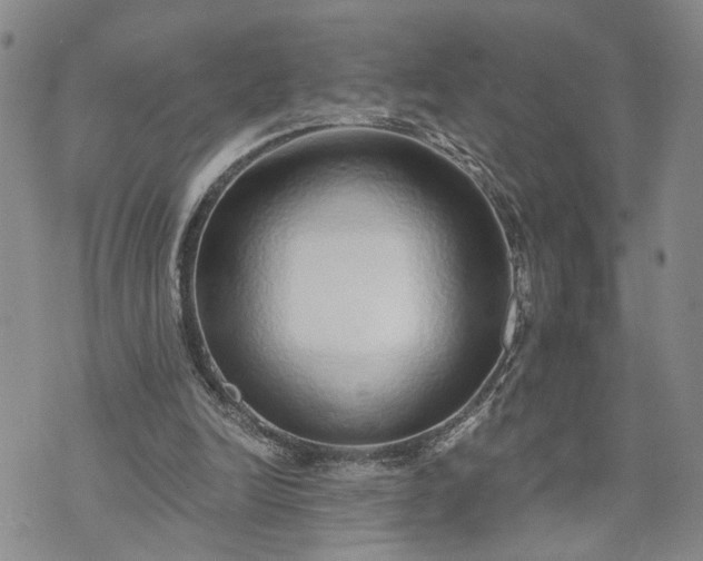 X0000072980246200608041250