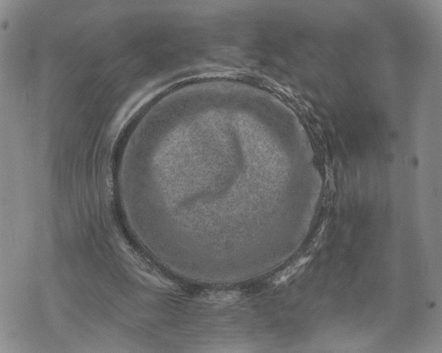 X0000072980247200608041250