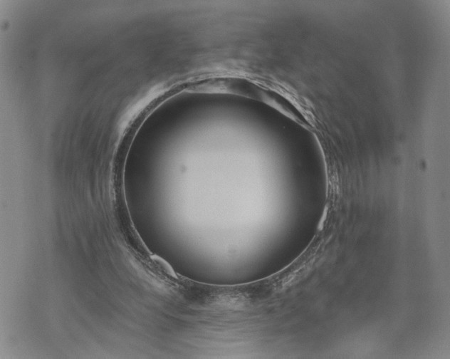 X0000072980248200608041250