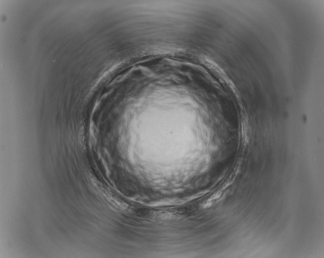 X0000072980249200608041250