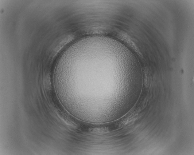 X0000072980251200608041250