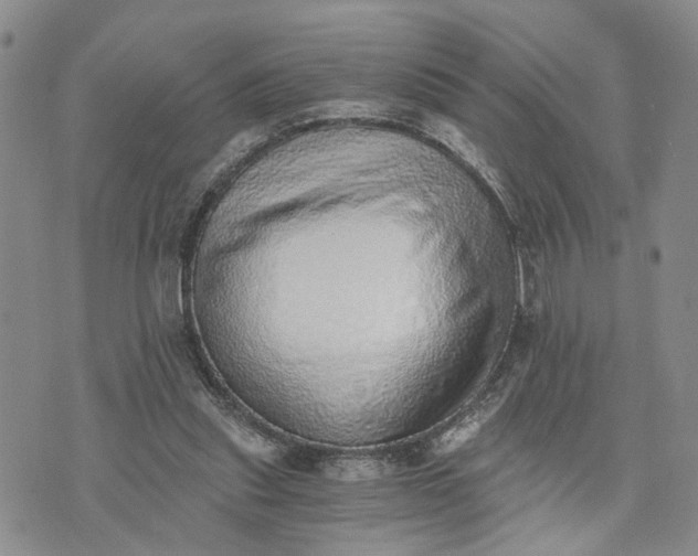 X0000072980253200608041250