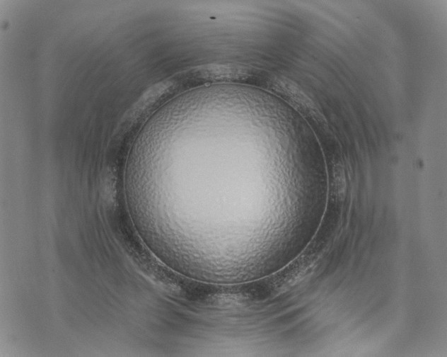 X0000072980255200608041250