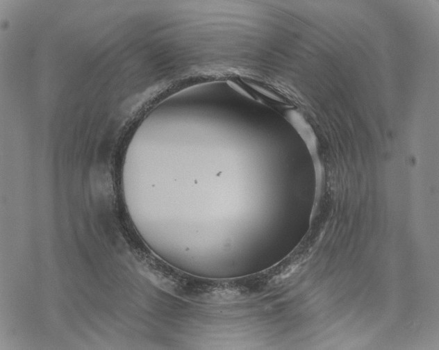 X0000072980256200608041250