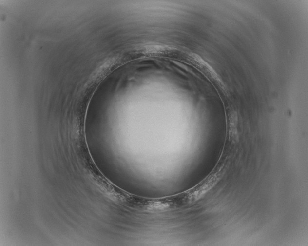 X0000072980257200608041250