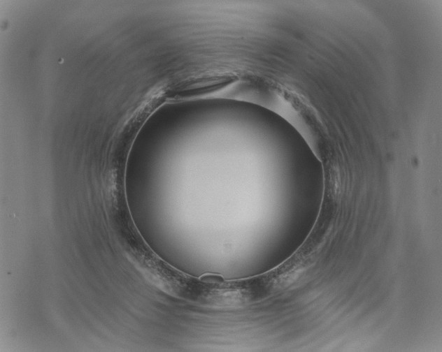 X0000072980260200608041250