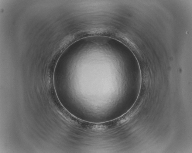 X0000072980261200608041250