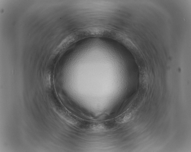 X0000072980262200608041250