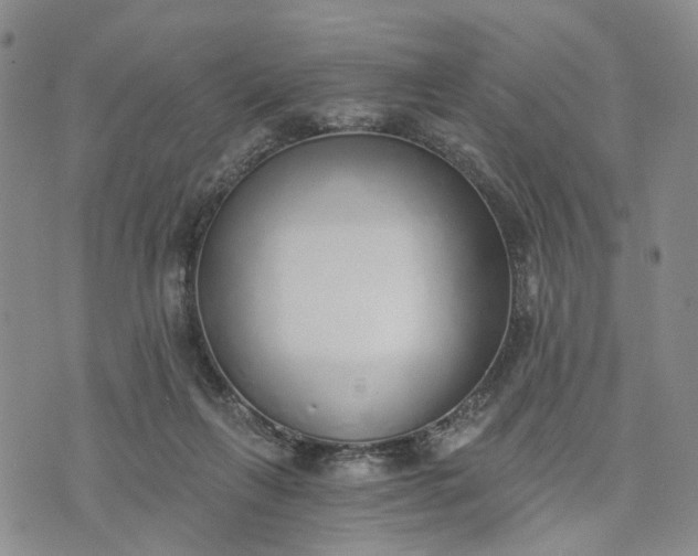 X0000072980263200608041250