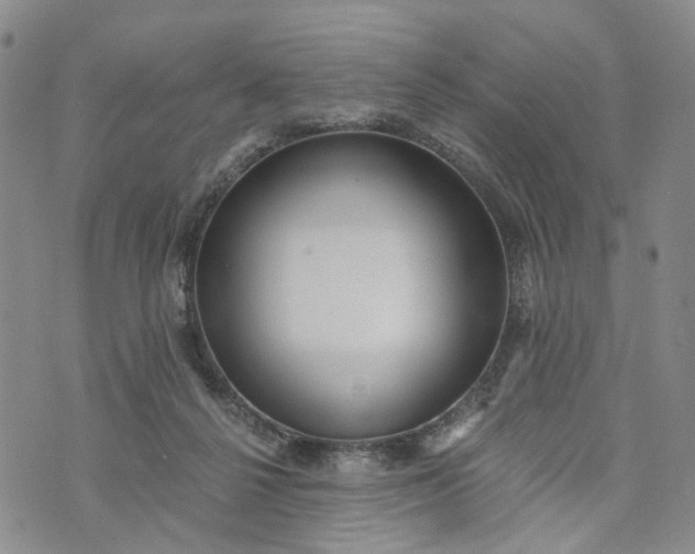 X0000072980264200608041250