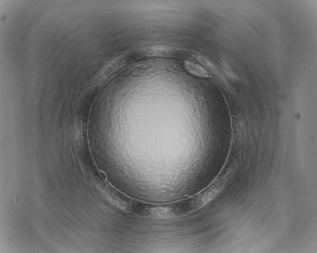 X0000072980265200608041250