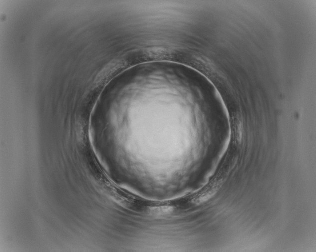 X0000072980266200608041250