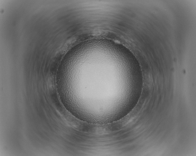 X0000072980272200608041250