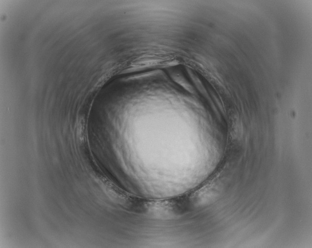 X0000072980273200608041250