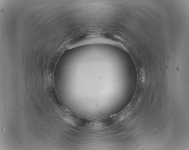 X0000072980276200608041251