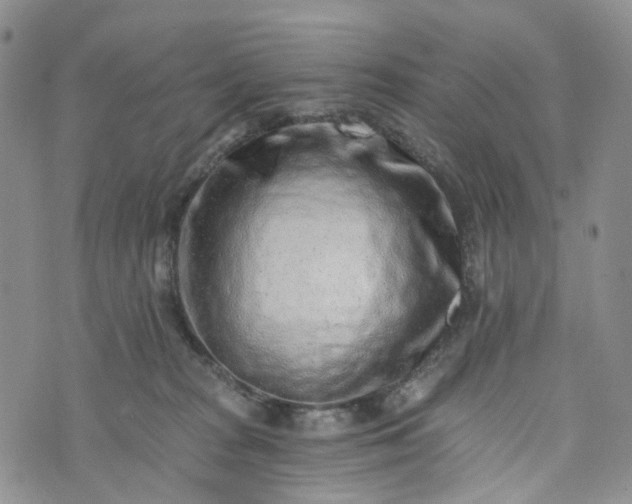 X0000072980277200608041251