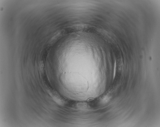 X0000072980279200608041251