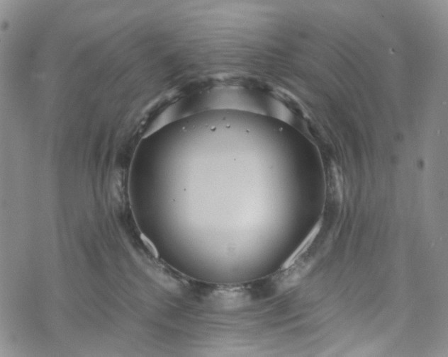 X0000072980280200608041251