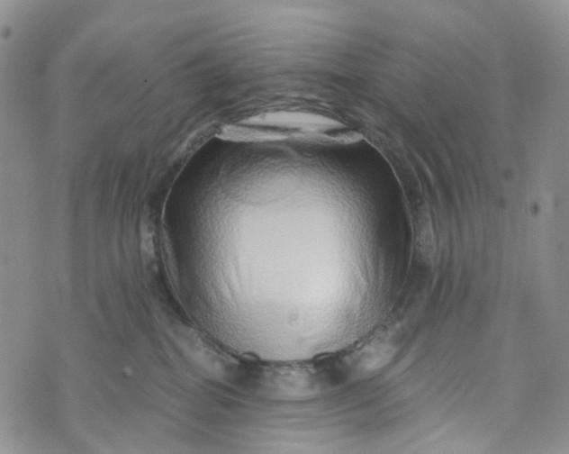 X0000072980282200608041251