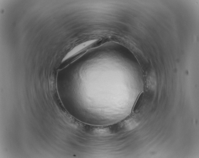 X0000072980283200608041251