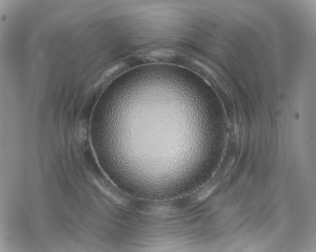 X0000072980284200608041251